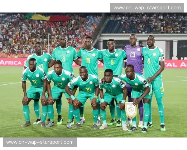 绿茵场上的冰与火之歌：乌干达vs埃及直播，见证非洲足球的尊严与崛起